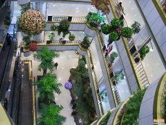 商場綠植租賃——鋼筋水泥中生活美學(xué)